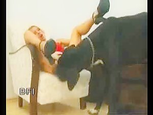 Animal ion - a dane cum taste