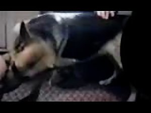 fucking fat pussy